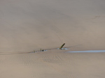 FZ010291 Remains of 19th Century shipwreck on Rhossili beach.jpg